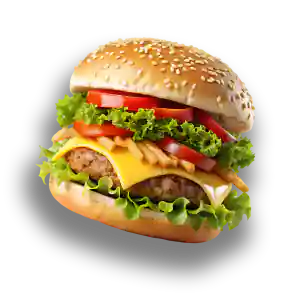 Premium Cheese Burger 